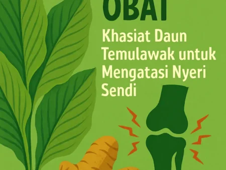 Tanaman Obat: Khasiat Daun Temulawak untuk Mengatasi Nyeri Sendi